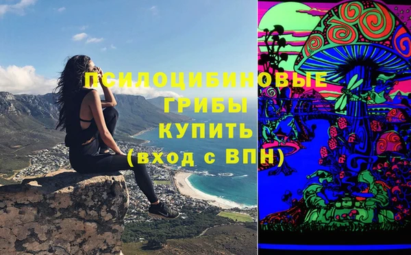 стафф Абаза