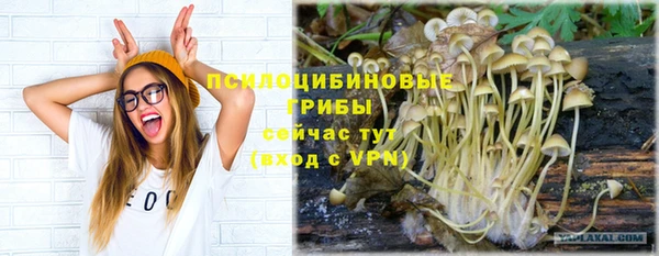 а пвп мука Абинск